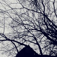 Meryem (@meryem34546) 's Twitter Profile Photo Meryem (@meryem34546) 's Twitter Profile Photo