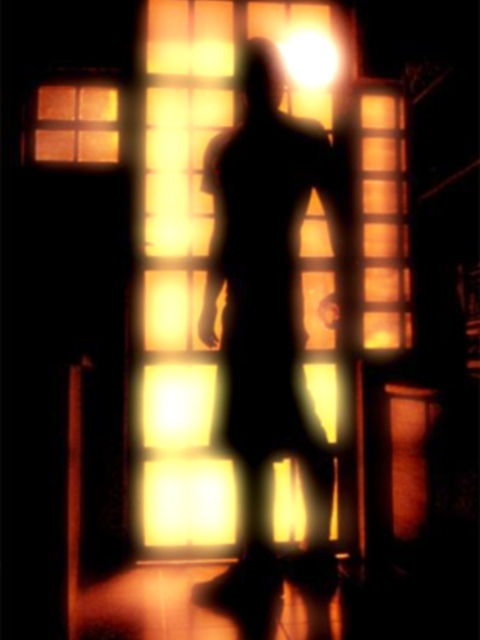 Michel Barcellosさんのプロフィール画像