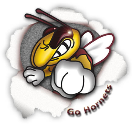 Official Twitter account for the Licking Heights Music Department.