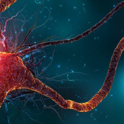 Mcnally5186's profile picture. 