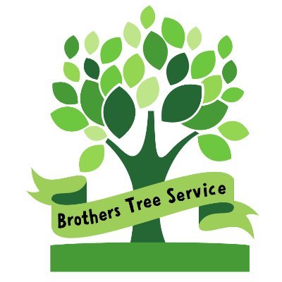 Brothers Tree Service is here to help maintain your trees and landscape by offering complete tree and landscaping solutions in Little Rock, Arkansas.