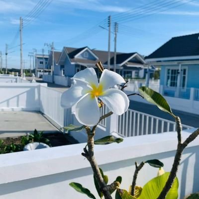 F4uCorsair3's profile picture. 