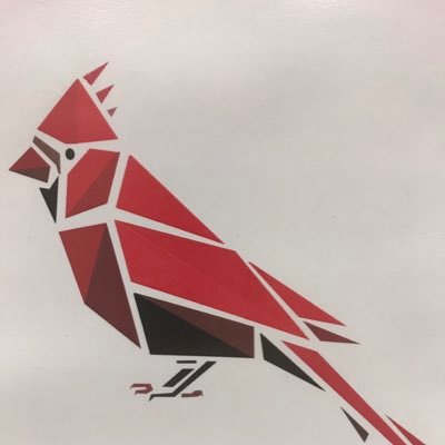 Cardinalbots, FTC Team 15524, is a FIRST Tech Challenge team from John Paul II High School in Plano, Texas