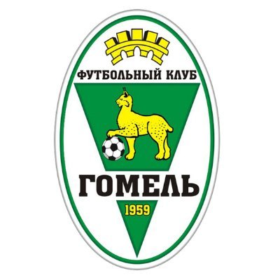 Официальный твиттер футбольного клуба «Гомель» / Official Twitter of FC Gomel