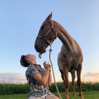 25 • she/her • 🏳️‍🌈 • I ride spotted gaited ponies • venmo: @ dasmithers