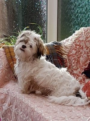 sun_and_sands's profile picture. 