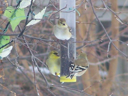 henie_9's profile picture. Art Soul Music Occupation Spirit Paint Poetry Nature Health Practical Humor