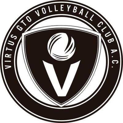 Somos un equipo profesional que compite en la Liga Mexicana de Voleibol.