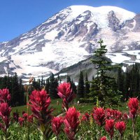 Pacific Northwest Gastroenterology Society (@pnwgsociety) 's Twitter Profile