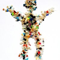 MicroplasticLab Wageningen(@MicroplasticLab) 's Twitter Profile Photo