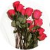 سحـر (@sahar_1234566) Twitter profile photo سحـر (@sahar_1234566) Twitter profile photo