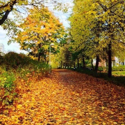 DimaDidi11's profile picture. 