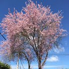 PabloPanaisara's profile picture. Feliz de trabajar de lo que me gusta, y me jode sobremanera que mis impuestos sirvan para mantener vagos, radicales, separatistas, etarras y pagapensiones.