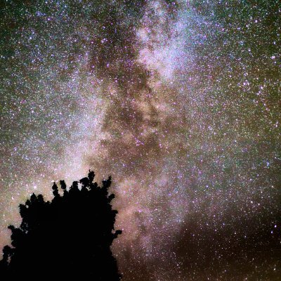 jeromeludmann's profile picture. 