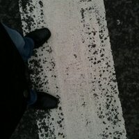 Nico de Graaf (@nicodegraaf) 's Twitter Profile