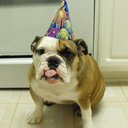 Patrick Sauter - @zsauter - Twitter