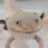 YANNのTwitterプロフィール画像