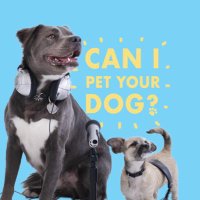 Can I Pet Your Dog? (@cipydpodcast) 's Twitter Profile Photo Can I Pet Your Dog? (@cipydpodcast) 's Twitter Profile Photo
