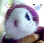 idolovegon's profile picture. 