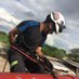 Ivabradina (@ricardo37380988) Twitter profile photo Ivabradina (@ricardo37380988) Twitter profile photo