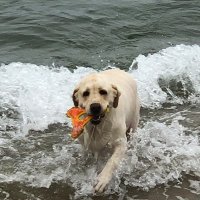 Brian (@brian64576230) 's Twitter Profile