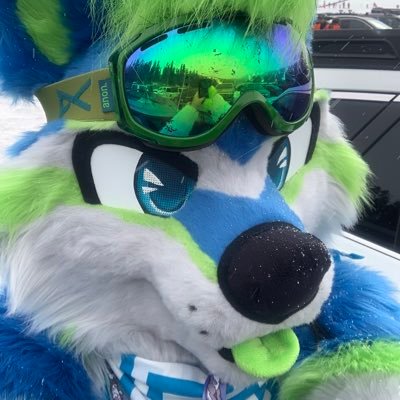 I’m a CO native husky 🐾that loves to ski 🎿 , golf ⛳️and basically anything involving nature! Bi and ready to mingle 😏