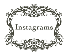 Instagrams
