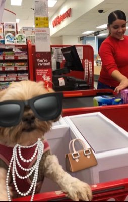 Interne25214062's profile picture. 🐶