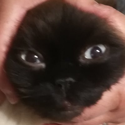 trrn_27's profile picture. 茨城高専電気科▶︎愛知県立芸術大学▶︎同大学院修了▶︎セントラル愛知交響楽団 トロンボーン契約奏者/かすがい市民文化財団第5期登録アーティスト/レッスン等ご依頼はDMまで🙌