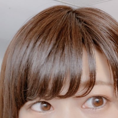 ぱるてな Ark Shadu Paru Twitter ぱるてな Ark Shadu Paru Twitter