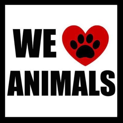 This Account is for the Animals Public - @Amber_Price__2 Instagram - @ilove_animal__
