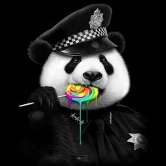 El Panda CS Profile