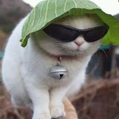 shell_boy_'s profile picture. conta para reclamar e ser depressivo