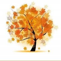 🍃🌺OTEAR🌺🍃 (@franquezacp) 's Twitter Profile Photo 🍃🌺OTEAR🌺🍃 (@franquezacp) 's Twitter Profile Photo