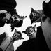 The Four Owls (@thefourowls) Twitter profile photo The Four Owls (@thefourowls) Twitter profile photo