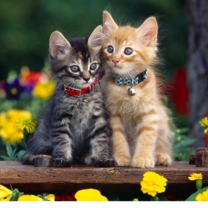 2DMrR738JHf21XR's profile picture. 