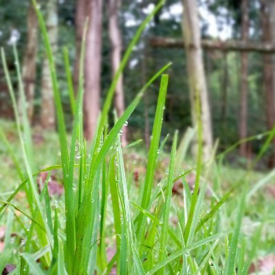 k_kipnge's profile picture. Face the reality of the world