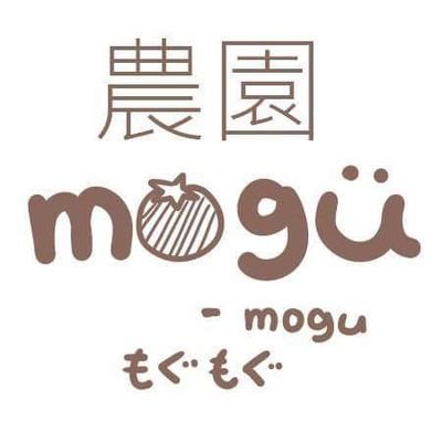 mogumog19376043 Profile Picture