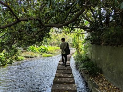 sato19912129's profile picture. 神戸在住30代　プログラミングを2019年12月から独学で勉強開始！ついサボってしまっていたのでデイトラとmakerzに応募しました！動画編集経験あり。運動も音楽もします。