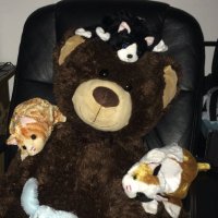 gregm (@gregm333) 's Twitter Profile
