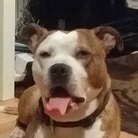 ICU JMY (@jamesda71423605) 's Twitter Profile