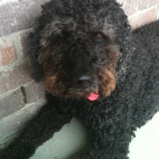 sumguyhat's profile picture. I like stuff, music , and stuff!