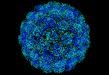 slovirus's profile picture. NorCal meets SoCal Music, Remixes, and Sound Design.