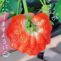 takezou46 (@takezou461) 's Twitter Profile Photo
