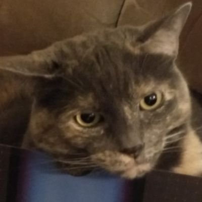 frahmj76's profile picture. 