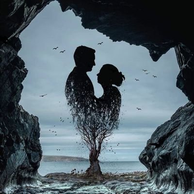 Ali_H_0's profile picture. Medical Student / U.O.B