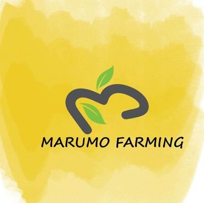 FarmingMarumo Profile Picture