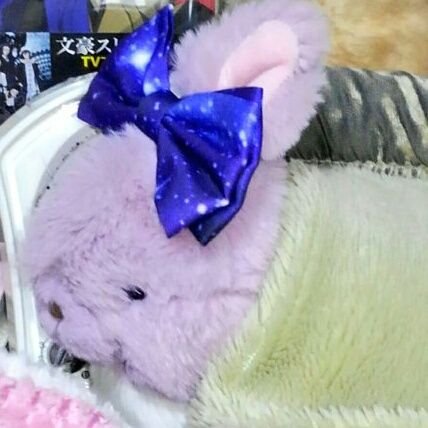お布団に入るパープルちゃん(落書き用)さんのプロフィール画像