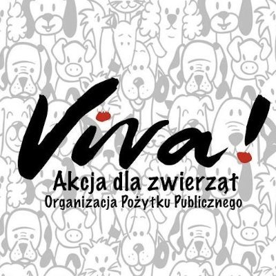 Od ponad 20 lat walczymy o prawa zwierząt i poprawę ich losu, edukujemy, interweniujemy, prowadzimy Schronisko w Korabiewicach.