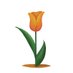 ATELIER_ORANGE_TULIP (@olettering) Twitter profile photo ATELIER_ORANGE_TULIP (@olettering) Twitter profile photo